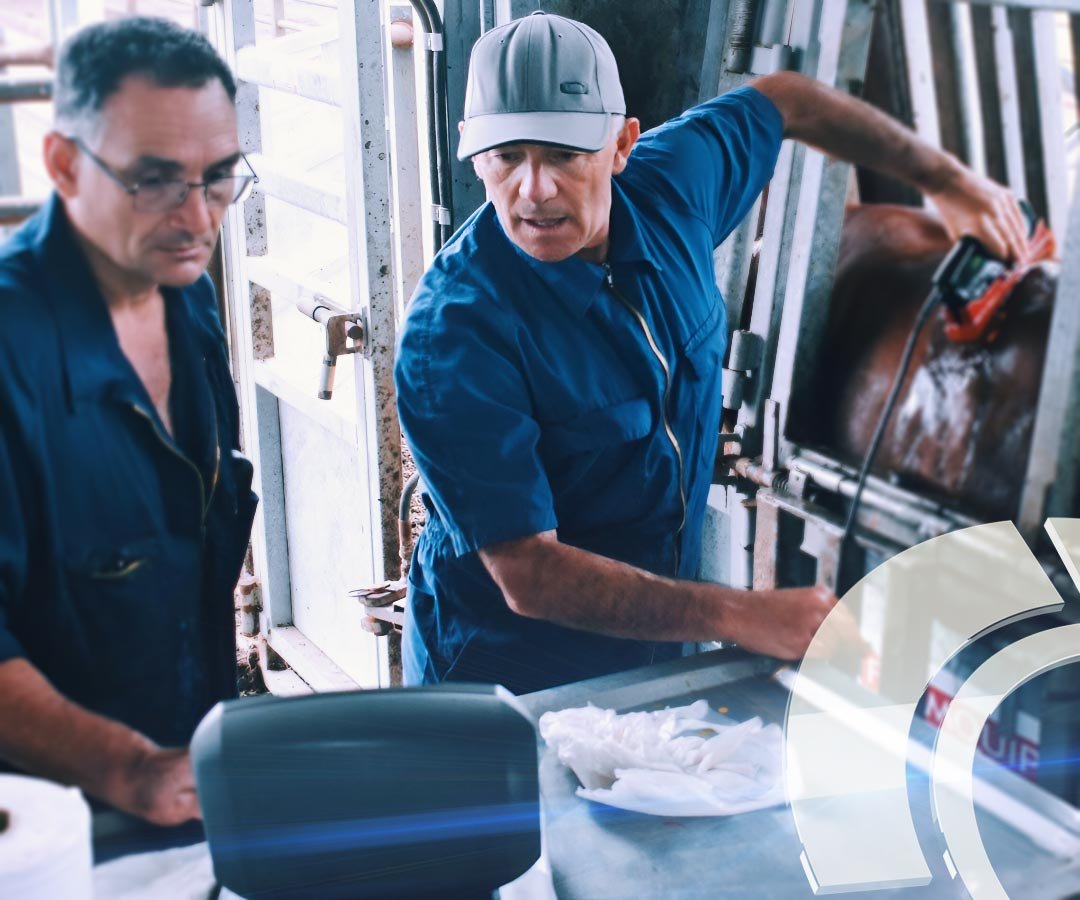 img_jorge_ecografia_01